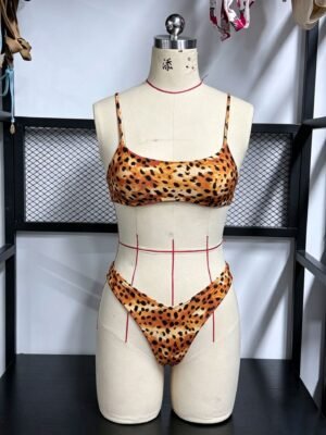 Leopard Print High Waist Bikini Set